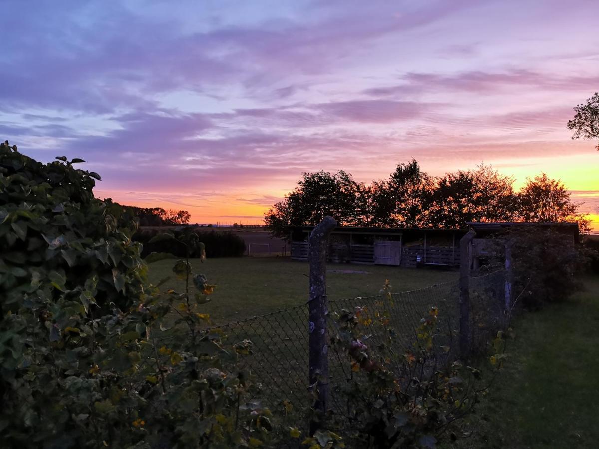 Reet Landhaus Ruegen Ummanz Bagian luar foto