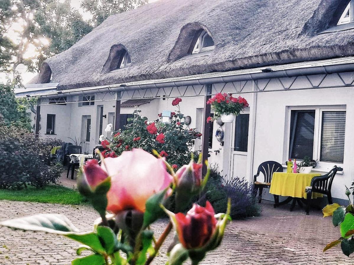 Reet Landhaus Ruegen Ummanz Bagian luar foto